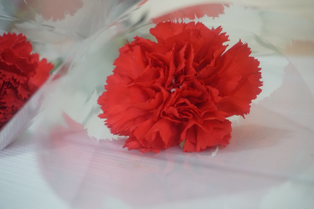 あずき.さんち。「母の日」