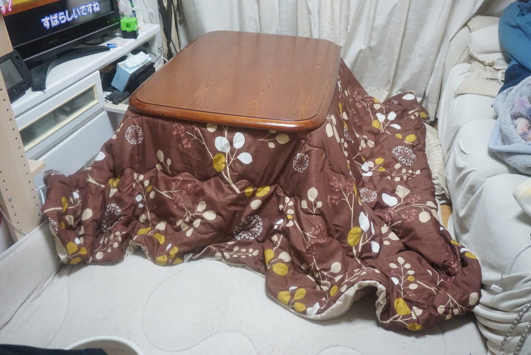 ダンナちゃん「こたつ」