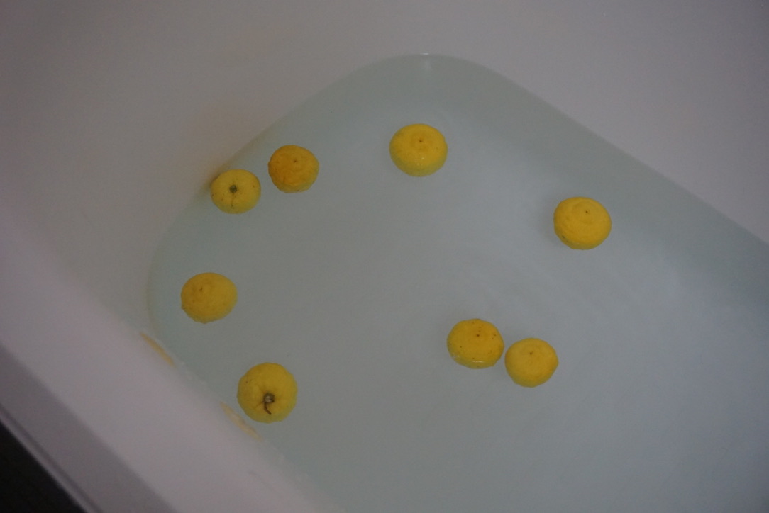 あずき.さんち。「2020年冬至」