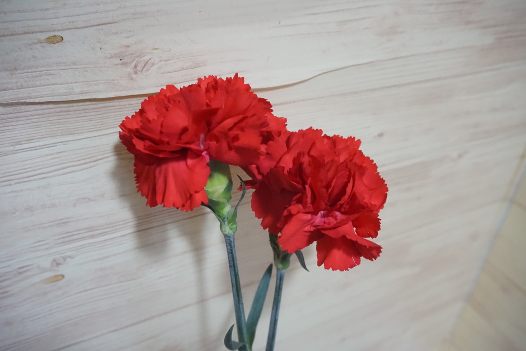 あずき.さんち。「2021年母の日」